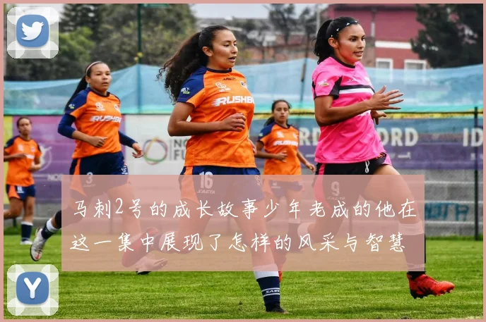 马刺2号的成长故事少年老成的他在这一集中展现了怎样的风采与智慧
